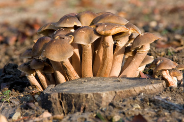 Similar image 362203