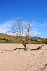 Similar image 362209