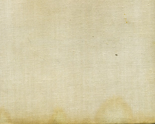 Similar image 362254