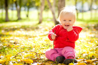 Similar image 362294