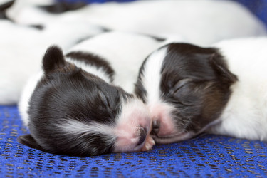 Similar image 362325