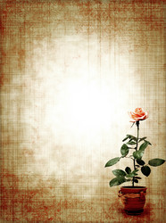 Similar image 362340