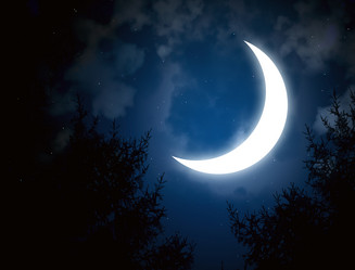 Similar image 362341