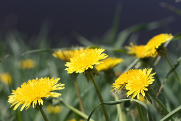 Similar image 362372