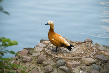 Similar image 362399