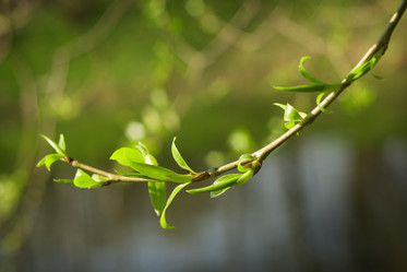 Similar image 362414