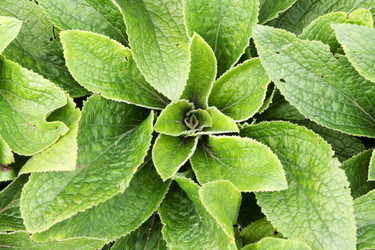 Similar image 362467