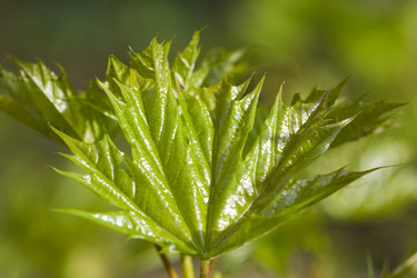 Similar image 362491