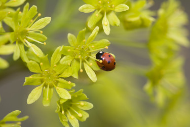 Similar image 362499