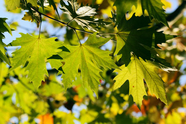 Similar image 362584