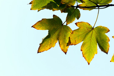 Similar image 362587