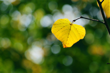 Similar image 362614