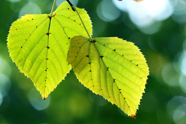 Similar image 362617