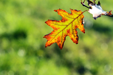 Similar image 362622