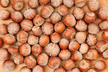 Similar image 362642