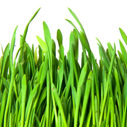 Similar image 362644