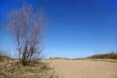 Similar image 362672