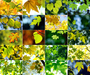 Similar image 362681