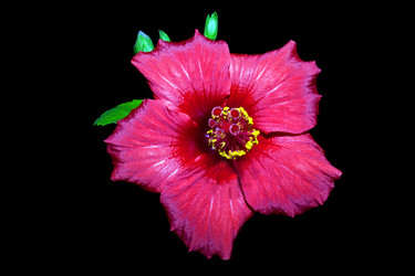 Similar image 362683