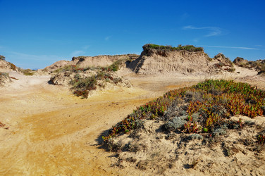 Similar image 362710