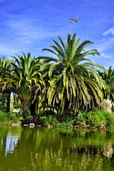 Similar image 362724