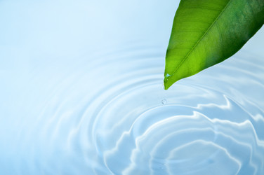 Similar image 362855