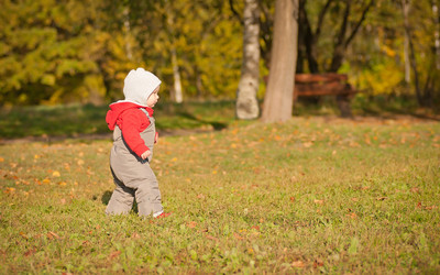 Similar image 362858