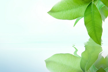 Similar image 362862