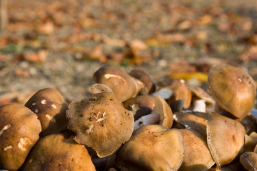 Similar image 362866