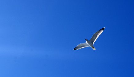 Similar image 362913