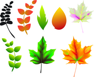 Similar image 362938