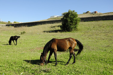 Similar image 362939