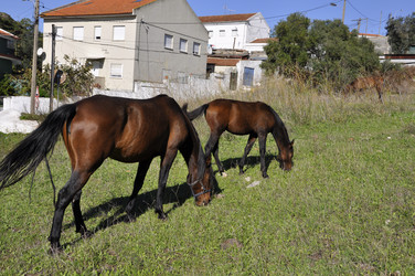 Similar image 362940