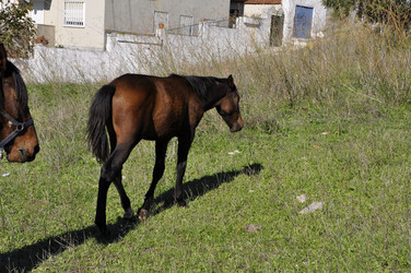 Similar image 362941