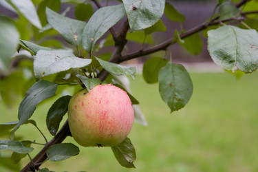 Similar image 362964