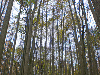 Similar image 363020