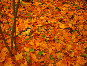 Similar image 363021