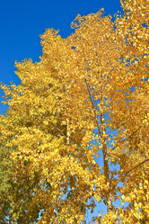 Similar image 363023