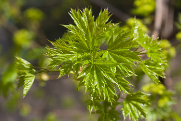 Similar image 363086