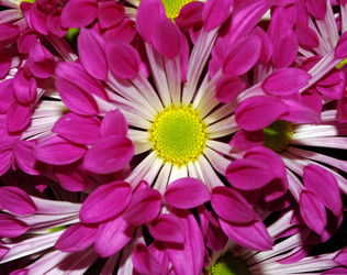 Similar image 363093