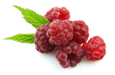 Similar image 363096