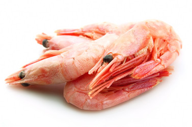 Similar image 363116