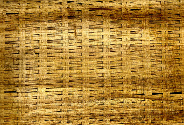 Similar image 363120