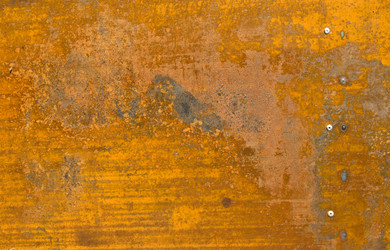 Similar image 363130