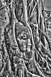 Similar image 363148