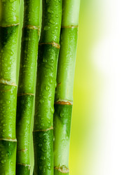 Similar image 363151