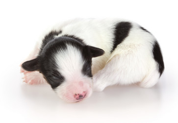 Similar image 363228