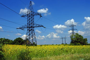 Similar image 363239