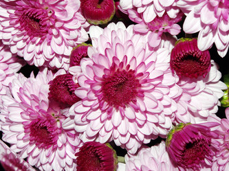 Similar image 363263