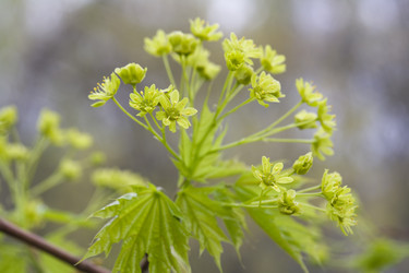 Similar image 363275